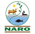 NARO