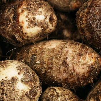 Celebrating World Creativity and Innovation Day '23